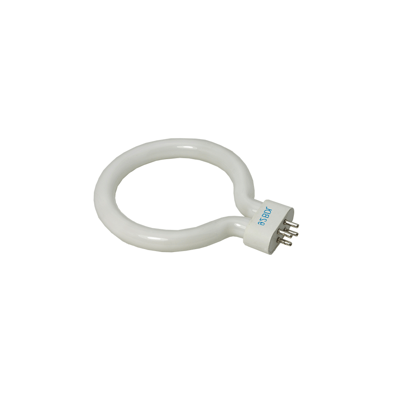 Bulb